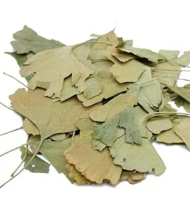 Ginkgo Biloba 100g to support memory and concentration
