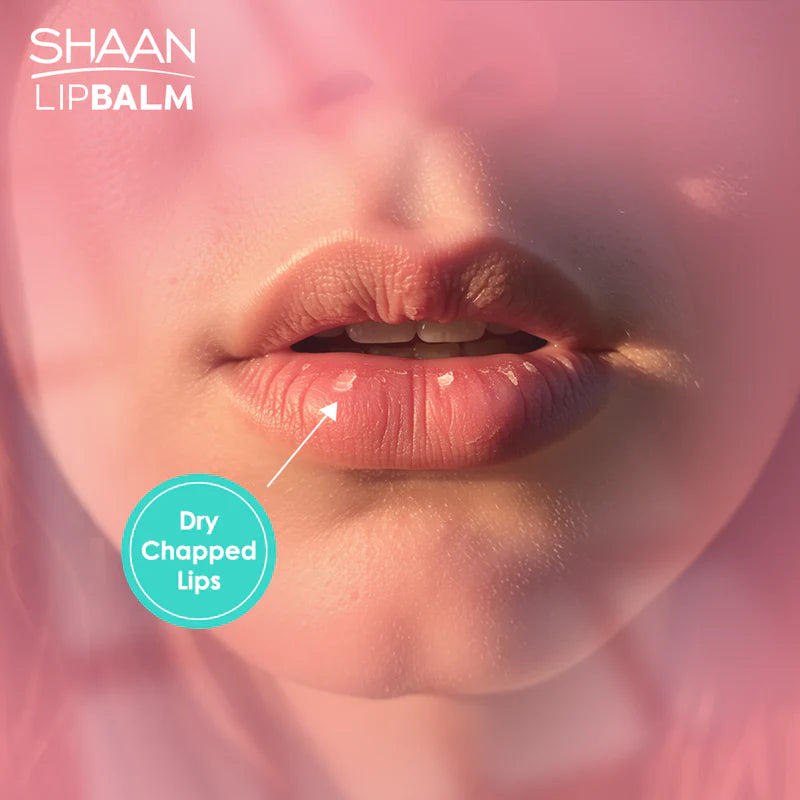 SHAAN Lip Balm 5g benefits