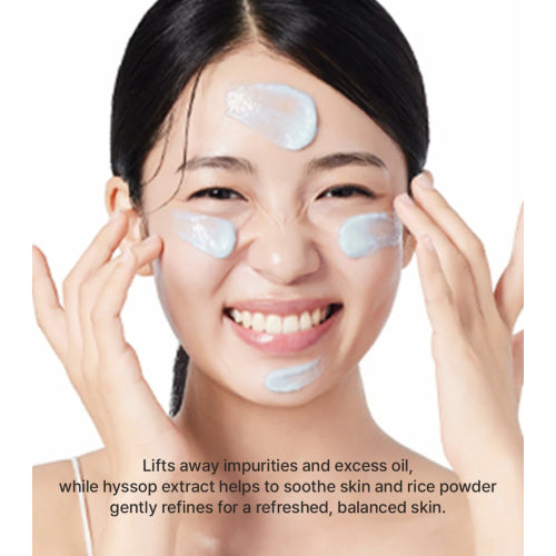 Arencia Blue Hyssop Rice Mochi Cleanser key ingredients