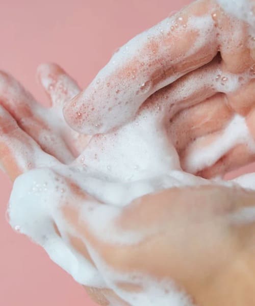 SKIN1004 Centella Cleansing Foam key ingredients