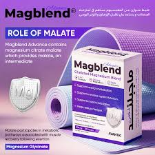 Magblend Advance magnesium box and supplement facts